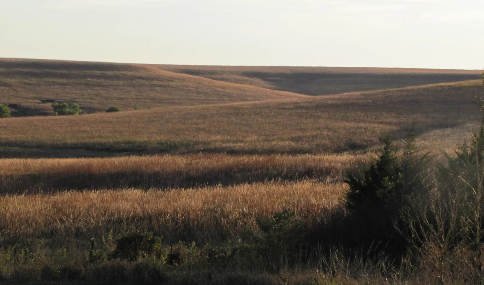 Sunset across the tallgrass prairie